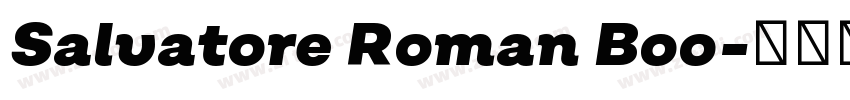 Salvatore Roman Boo字体转换